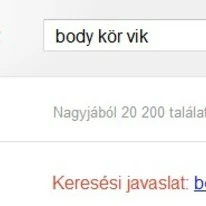 Google - VIK 1:0