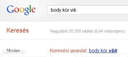 Google - VIK 1:0