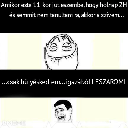 ZH.. leszarom