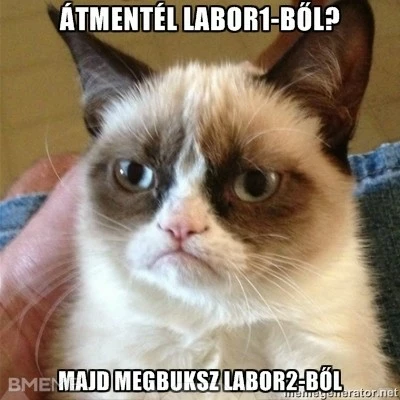 Grumpy Labor Cat