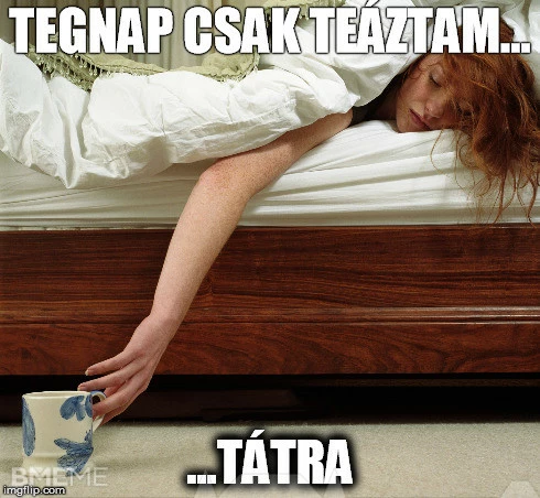 Csak tea