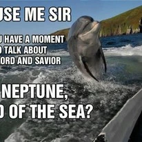 Delfinek lennénk?