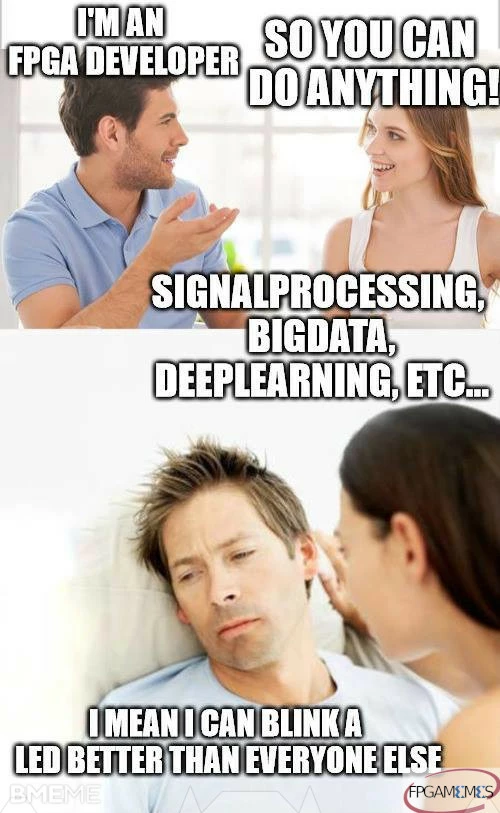 Developing FPGA is just blinks LEDs