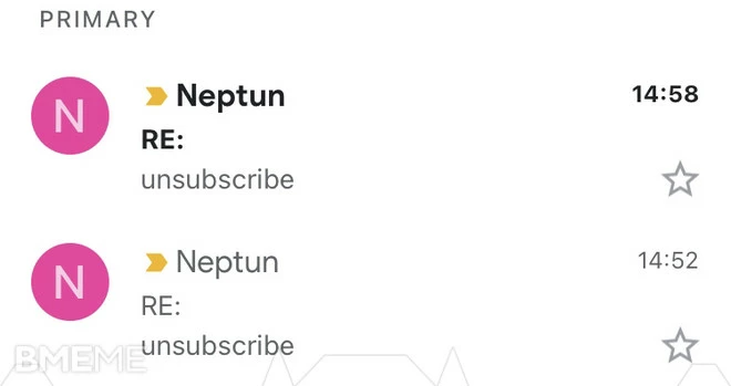 Neptun DDoS